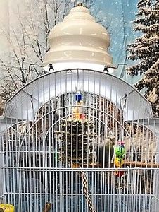 Top-Mounted Avian Cage Lamps